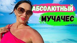 Развод на деньги. Отдых в Мексике. Свадьба | Iren Sigal #мексика #путешествия