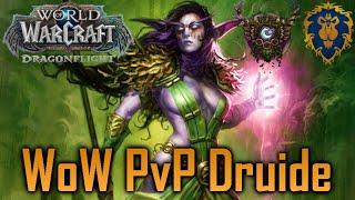 Let's Play WoW Dragonflight PvP | Wildheit Druide #31