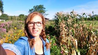 Odd Jobs around the Farm // Checking on things with Brenda