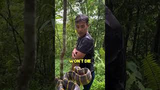 This Snake Is Deadly 