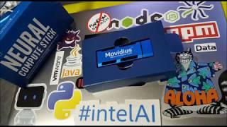 Intel Movidius AI Neural Compute Stick Image Classifier Demo