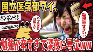 【悲報】国立医学部ワイ、勉強が辛すぎて深夜に号泣してしまうwww【ゆっくり解説】【2ch面白いスレ】