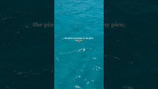 the pinterest inspo vs the pictures I took in BVI 🪸 #pinterest #pinterestaesthetic
