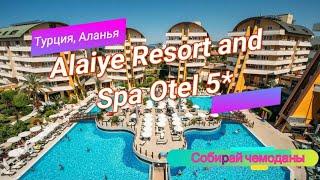 Отзыв об отеле Alaiye Resort and Spa Otel 5* (Турция, Аланья)