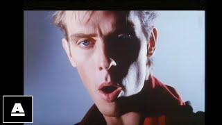 Peter Murphy - Final Solution HD