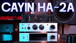 Cayin HA2A Tube Amp Review. A beginners tube amplifier of choice!