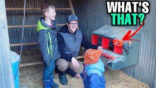 Fixing Our Muddy Chicken Run | HenGear AutoRoost On Our Nesting Box!