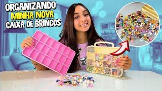 ORGANIZANDO MINHA NOVA CAIXA DE BRINCOS | O MUNDO DE LARISSA