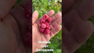 25 июня 2023 г.
