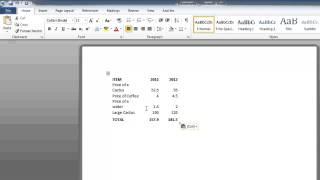 How to Convert an Excel 2010 spreadsheet to a word document