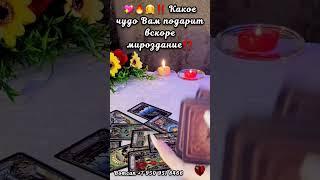 КАКОЕ ЧУДО ВАМ ПОДАРИТ МИРОЗДАНИЕ #таро #егочувства #суженый #будущиймуж #мужчинанапороге