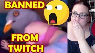 Twitch WEIRD ASMR Finally BANNED?