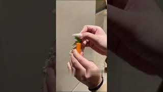 Carrot- Clips: Fun and Functional Sealing for Snacks#carrot #homedecor #clips