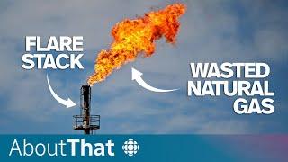 Why Alberta oil industry 'flaring' is at all-time highs | About That