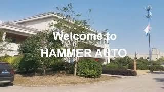 Luxury Pilot seat from Hammer auto for Alphard/vellfire/hiace/V-class