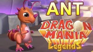 How to Breed the Ant Dragon - Dragon Mania Legends (Enchantment Dragon)