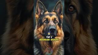 Top 3 German guard dog breeds for your family. #shorts #dog #doglover #germany