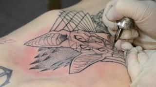 Сергей Некрасов (Linework) 5 часов