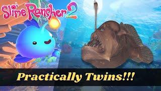 Slime Rancher 2 New Slimes IRL #shorts