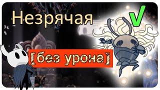 ◈ Hollow Knight: Незрячая [ без урона ] ◈