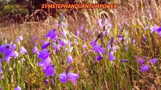 Power of Nature 87, organic agriculture, Biogärten, Sound by stephan HD 720p