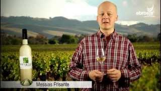 Wein Verkostung: Messias Frisante - ebrosia Wein Shop