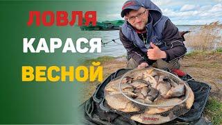 ловля карася весной