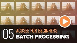 ACDSee for Beginners - 05 - Batch Processing Images