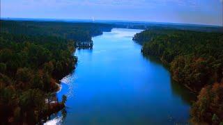 River Cane