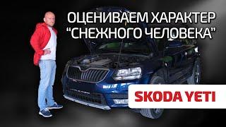  Со Skoda Yeti никакой Volkswagen не нужен? Оправдывает ли ожидания этот кроссовер?