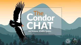 The Condor Chat with Ventana Wildlife Society - December 2024