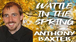 Wattle In The Spring - Performed By Anthony Baxter & Written By Shaza Leigh (Behind The Scenes)