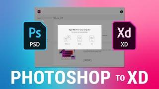 How to Import Photoshop to Adobe XD