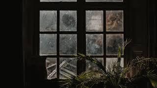 Studying with Dead Poets Society - A DARK ACADEMIA PLAYLIST classical