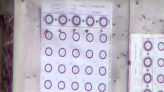 6ppc 8208 powder test