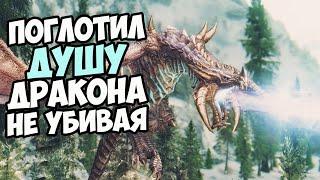 Поглотил Душу Дракона Не Убивая Его! КАК? Skyrim