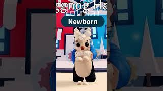 Every Bunny in Adopt me 2025 #shorts #adoptmebunnies #bunniesadoptme #adoptmepets #adoptme