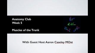 Anatomy Club - Muscles of the Trunk