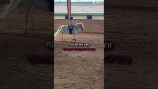 Random ahh edit  #equestrian #horse #pony #ntec #spirit #wolfie #draco #seville