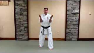 Uechi Ryu Sanchin Kata - Basic Study Guide