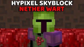 Best Nether Wart Farm On Hypixel Skyblock