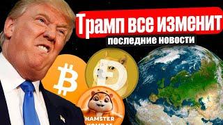 ЦЕНА БИТКОИНА ПОСЛЕ ВЫБОРОВ США! КОГДА АЛЬТСЕЗОН КРИПТОВАЛЮТА И ПОСЛЕДНИЕ НОВОСТИ