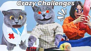 Amazing Oscar Prank: SHOCKING Moment Revealed!| Oscar‘s Funny World | New Funny Cat Videos 2023