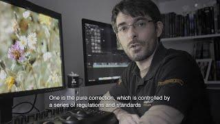 Antonio Bazalo - A Colorist's Take on Color Correction