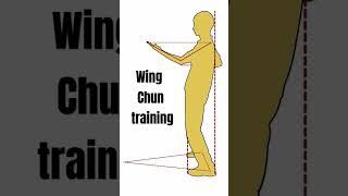 wing chun training system and basic moves #wingchun #martialarts #karatesir