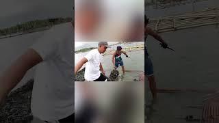 # FOLKS LIVES WORKING IN THE FISH POND# WONDERFUL VIRAL YT SHORT# FANTASTIC YT VIDEO #@ 