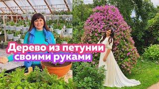 Цветущее Дерево из петунии своими руками.