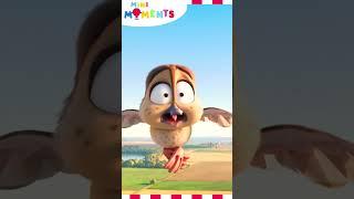 Meet the Mallards!   | Migration | Mini Moments  #minimoments #migration #shorts