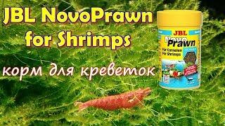 JBL GmbH & Co  KG NovoPrawn for Shrimps Креветки Вишни пробуют корм