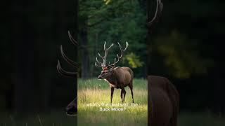 July’s Buck Moon is coming in hot 